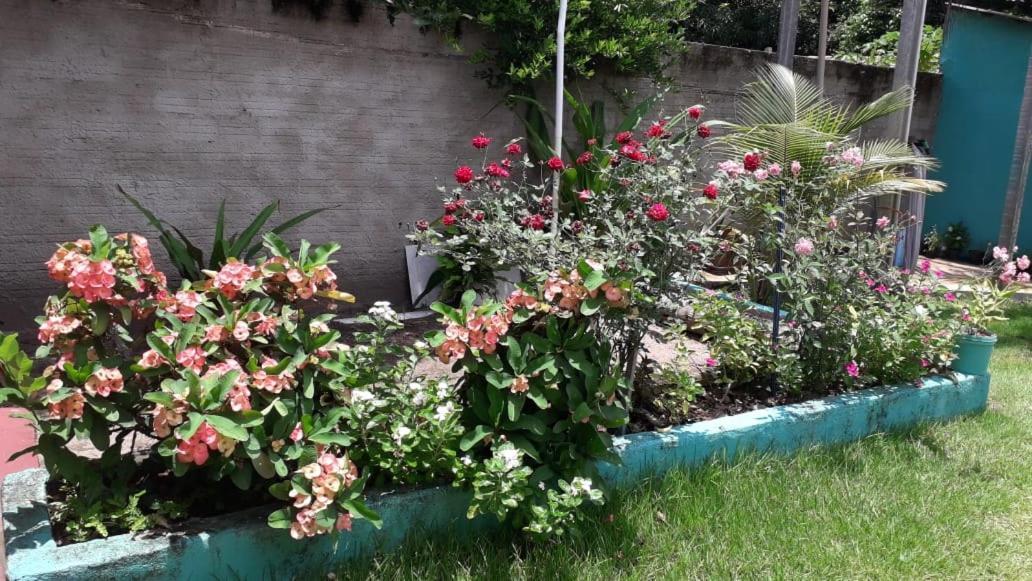 Pousada Tropicaliente Alter do Chão Exterior foto
